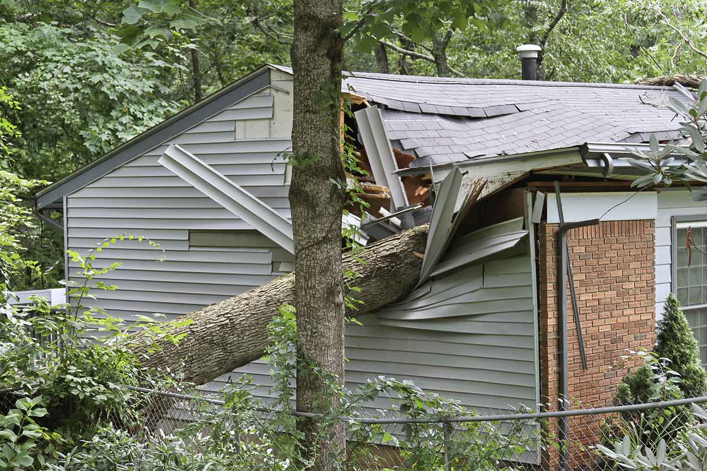 Insurance Claims Adjuster19076 Prospect Park Roof Damage & Fallen Trees 19078 Ridley Park 19079 Sharon Hill 19081 Swarthmore theft vandalism